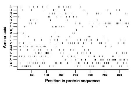 amino acid map