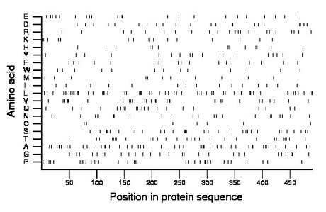 amino acid map