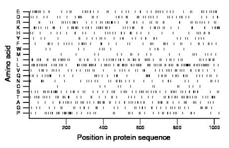 amino acid map