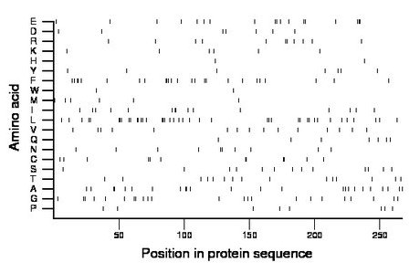 amino acid map