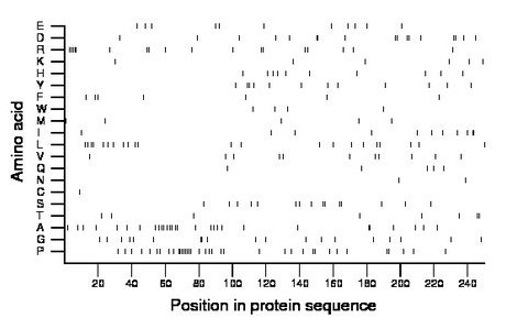 amino acid map