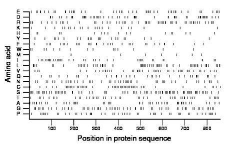 amino acid map