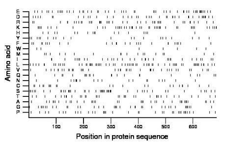 amino acid map