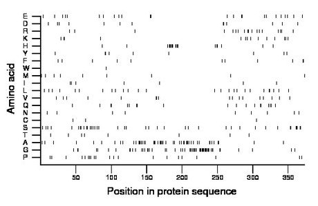 amino acid map