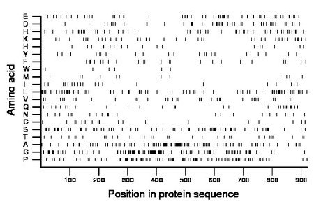 amino acid map