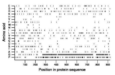 amino acid map