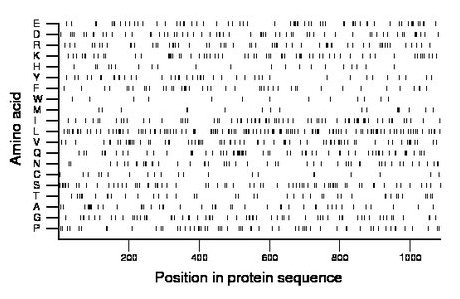 amino acid map