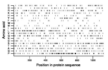 amino acid map