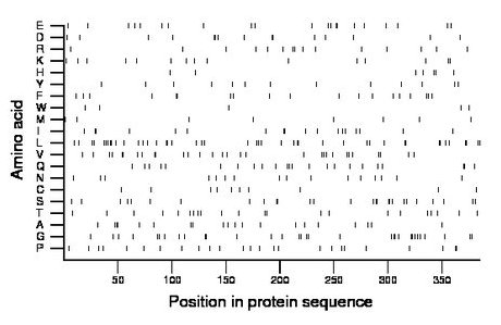 amino acid map