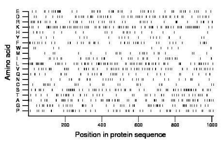 amino acid map