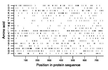 amino acid map