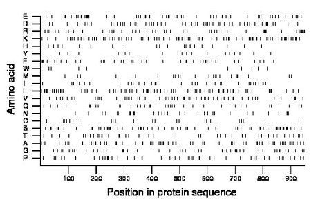 amino acid map