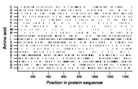 amino acid map