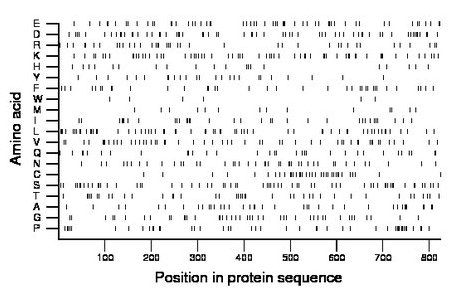 amino acid map