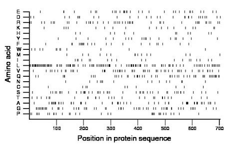 amino acid map