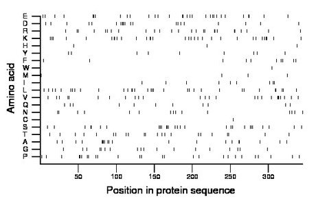 amino acid map