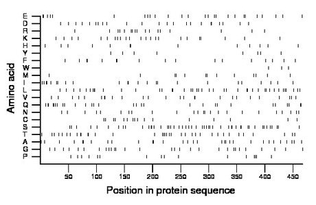 amino acid map