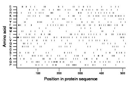 amino acid map