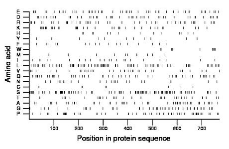 amino acid map