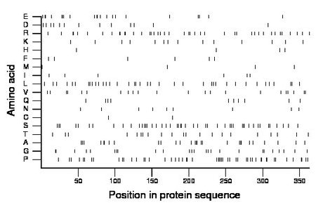 amino acid map