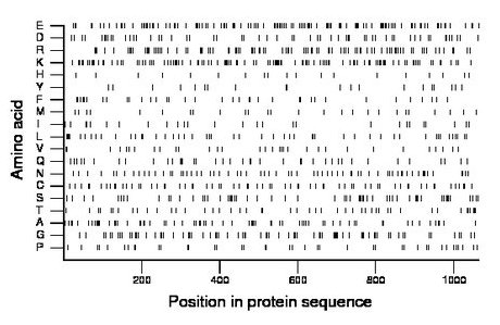 amino acid map