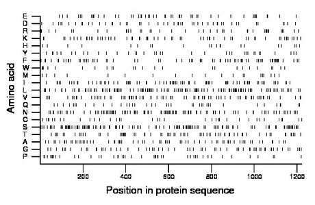 amino acid map