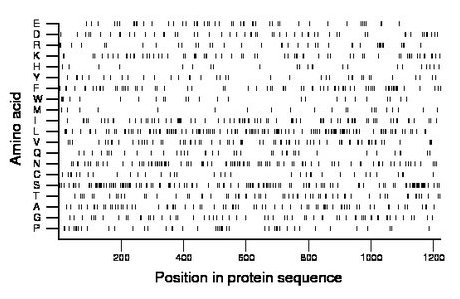 amino acid map