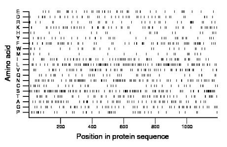 amino acid map