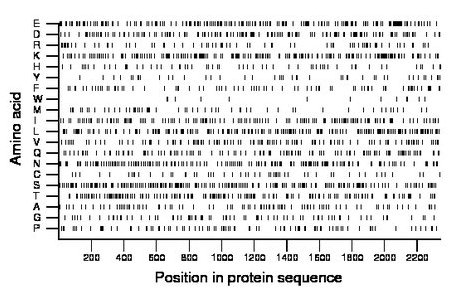 amino acid map