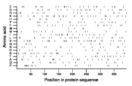 amino acid map