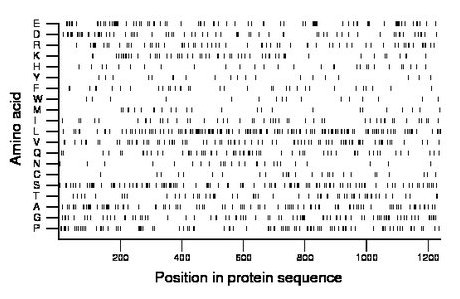 amino acid map