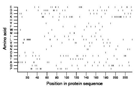 amino acid map