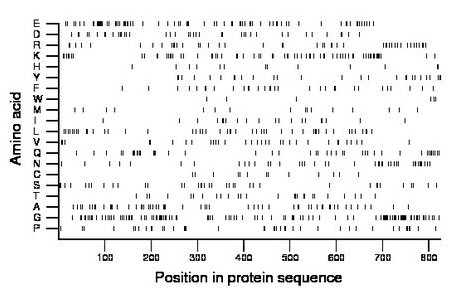 amino acid map