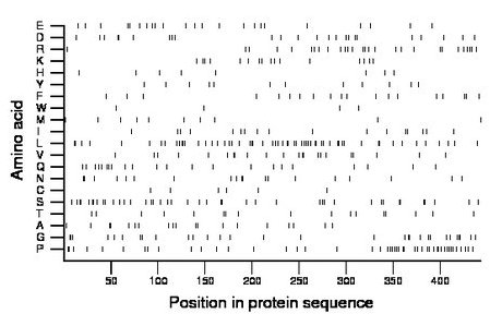 amino acid map