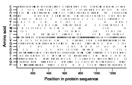 amino acid map