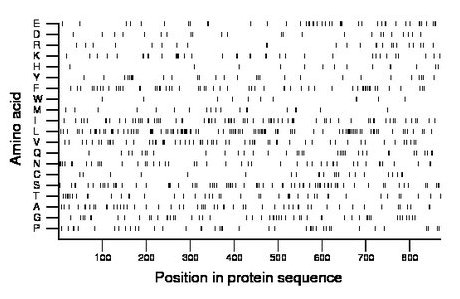 amino acid map