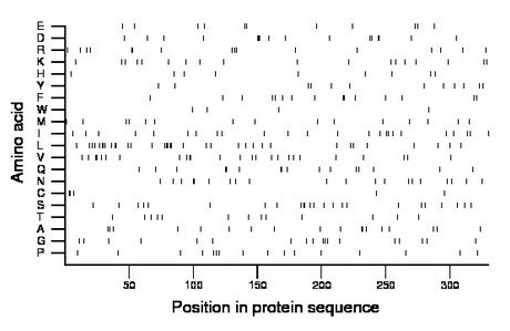 amino acid map