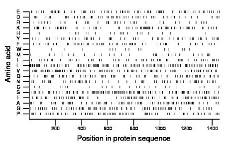 amino acid map