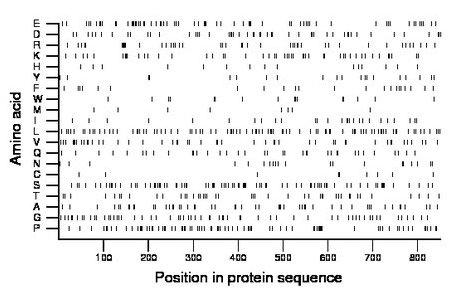 amino acid map