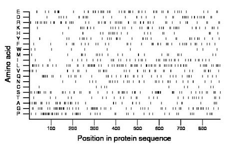 amino acid map