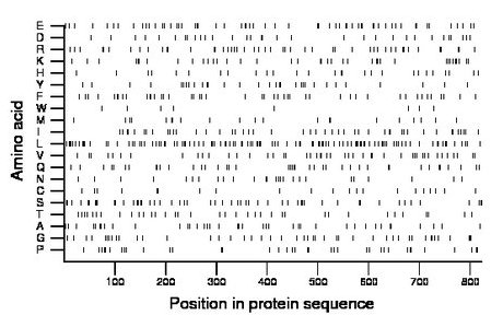 amino acid map