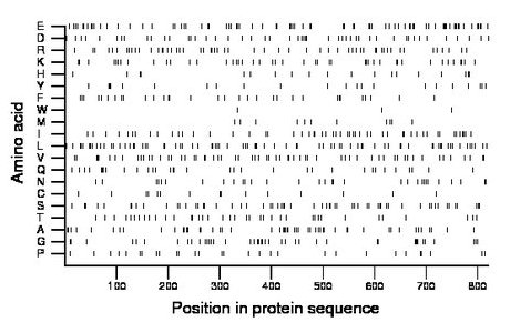 amino acid map