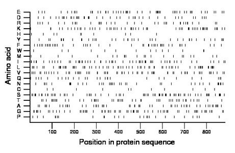 amino acid map