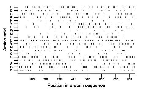 amino acid map