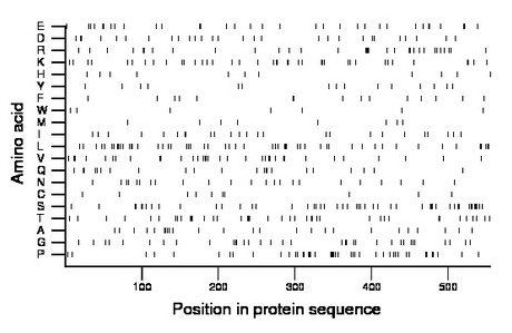 amino acid map