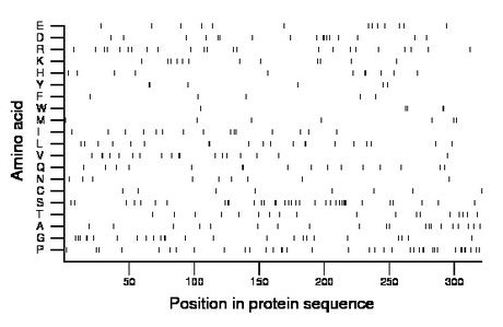 amino acid map