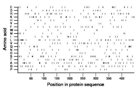 amino acid map