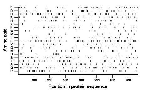 amino acid map