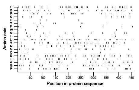 amino acid map