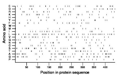 amino acid map